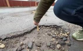 Жители поселка Мыза-Ивановка пожаловались на состояние дорог