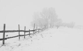 До -6 градусов, метель и мокрый снег: синоптики о погоде в Ленобласти 19 апреля