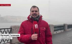 Сбылись прогнозы синоптиков: Ленинградская область и Санкт-Петербург вновь во власти снега