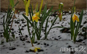 Ненастная погода продлится в Ленобласти по 22 апреля