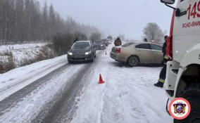Снегопад спровоцировал десятки ДТП в Ленобласти