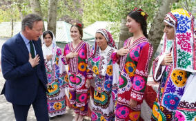 Стереть российские следы: Кэмерон в Центральной Азии играет свой раунд Большой игры
