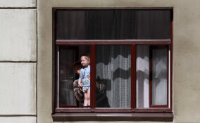 В Ленобласти 5-летняя девочка выжила после падения из окна шестого этажа