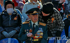 Свыше 64 тысяч жителей Ленобласти получат выплату из областного бюджета ко Дню Победы