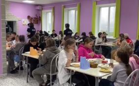 Почти 100 детей из Енакиево разместили в детском лагере «Березняки» в Ленобласти