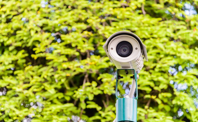 В Ленобласти камеры видеофиксации помогли выявить почти 350 преступлений