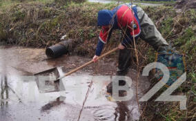 Разлив топлива в СНТ ликвидировали спасатели Ленобласти