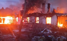 В Приозерском районе во время пожара в доме рухнула крыша - погиб человек