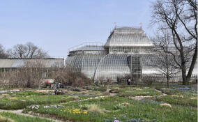 С начала мая в Ботаническом саду Петра Великого изменятся цены на входные билеты
