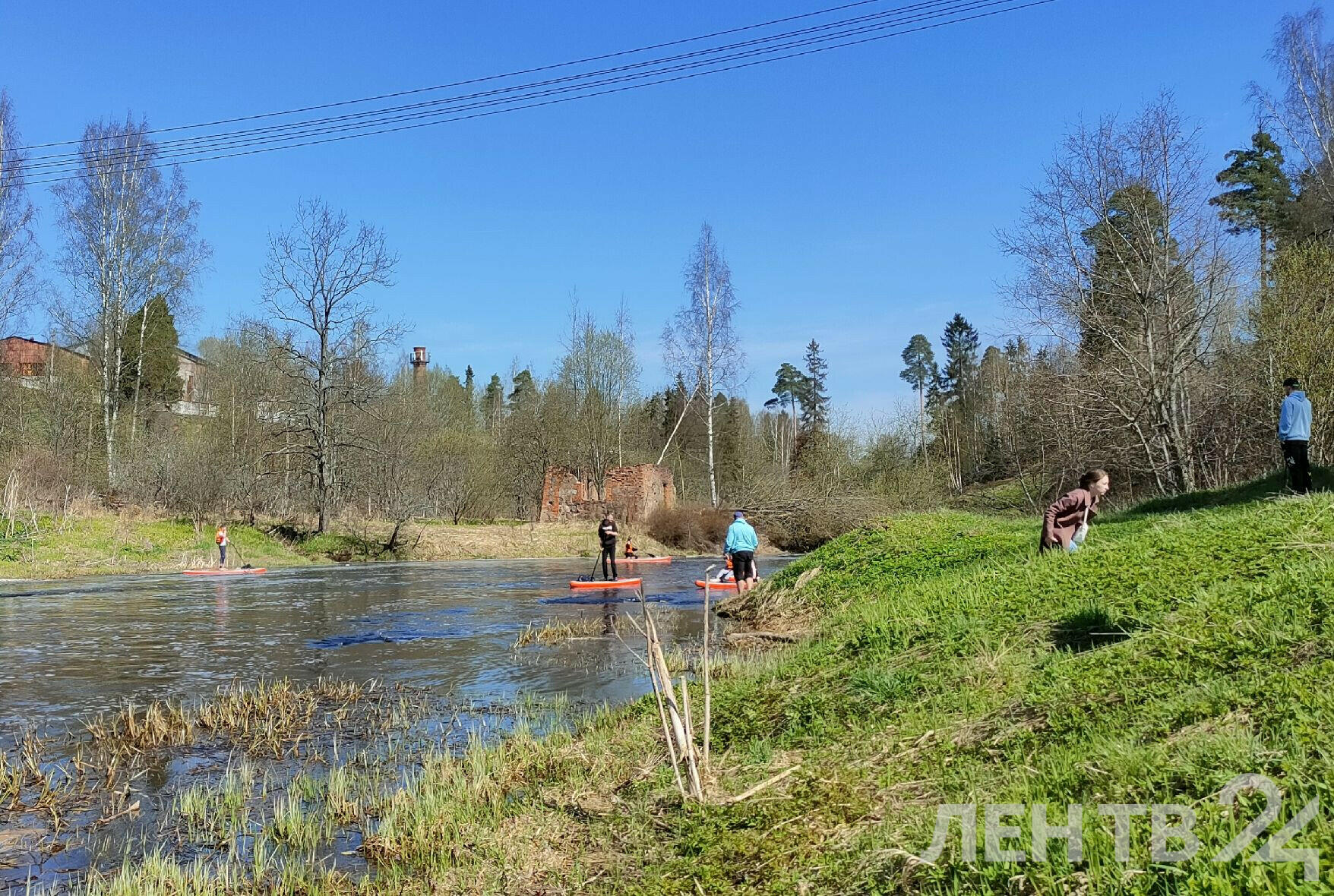 На реке Оредеж прошел экологический сплав на сапбордах | 29.04.2024 |  ЛенОбласть - БезФормата