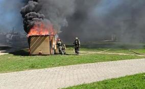 В Волосово прошел праздник в честь 375-летия пожарной охраны