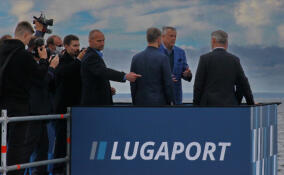 Строительство терминала Lugaport в Ленобласти подорожало почти вдвое