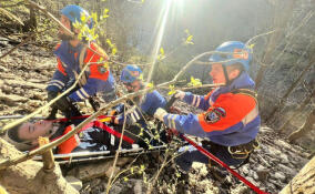 Поисково-спасательные учения прошли в Кировском районе Ленобласти