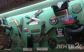 Экспозиция, посвященная участникам СВО, открылась в музее-заповеднике «Прорыв блокады Ленинграда»