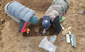 Около 20 тысяч артефактов нашли в ходе раскопок в Краснодарском крае