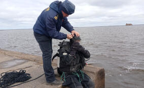 Проверка Кронштадского городского пляжа состоялась в День водолаза