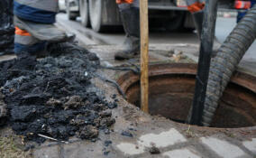 В Лодейном Поле канализационные стоки в подвале дома мучают жильцов