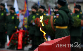Парады и марши с ретротехникой: как в регионах России отпразднуют День Победы