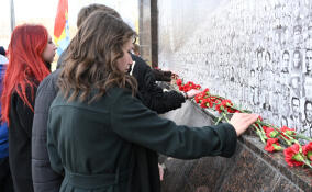 Жители Выборга присоединились к акции «Стена памяти»