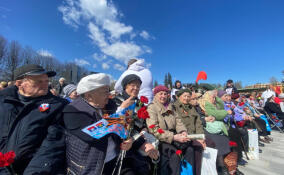 Около 300 человек приняли участие в акции «Память поколений» на Румболовской горе