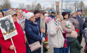 Жители Подпорожского района отдали дань памяти защитникам Родины