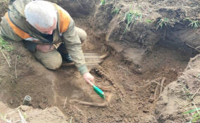 Останки краснофлотца, погибшего во время Великой Отечественной войны, обнаружили рядом с деревней Пиллово