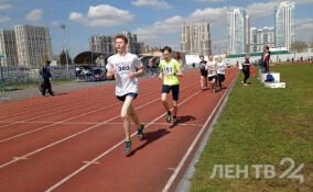 Ленинградская молодёжь участвует в первенстве по лёгкой атлетике