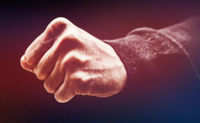 Инженера задержали за избиение жителя Выборга