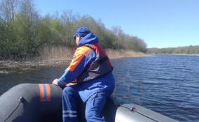 Спасатели нашли тело мужчины у берега Ладожского озера рядом с Кириково