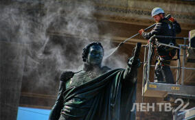 Фоторепортаж ЛенТВ24: Кутузов и Барклай-де-Толли на Казанской площади приняли душ