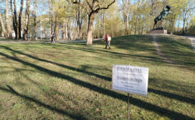 Дезинфекция зеленых территорий: в Выборге обрабатывают парки и скверы от клещей