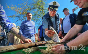 Фестиваль "Корюшка идет!" в Новой Ладоге в ярких снимках ЛенТВ24