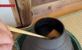 В японском саду в Ленобласти рассказали об особенностях чайной церемонии