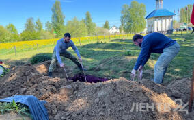 Останки двух красноармейцев перезахоронили у мемориала «Невский порог» в Ленобласти