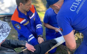 Спасатели пришли на помощь мужчине на острове озера Вуокса