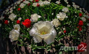 Фестиваль тюльпанов на Елагином острове в ярких снимках ЛенТВ24
