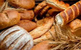 Руководство Волосовского хлебозавода задолжало работникам более 200 тысяч рублей