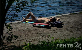 На Петербург и Ленобласть надвигается аномальная жара