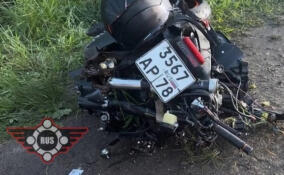 Мотоциклист погиб при столкновении с иномаркой под Гатчиной
