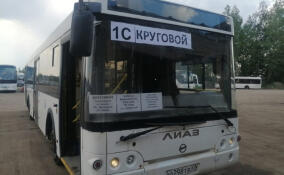 Бесплатный автобус начнет курсировать в Кингисеппе с 1 июня