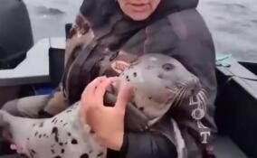 Рыбаки спасли тюлененка от голодных хищников в Баренцевом море
