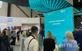 Ленобласть увеличит производство яиц на 50 %