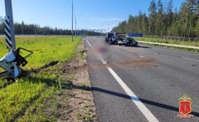 Пассажирка иномарки погибла в ДТП на трассе «Скандинавия»