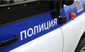 Двое грабителей отобрали рюкзак с 10 млн рублей у жителя Колпино
