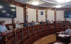 Представители отделений Российского детского фонда обсудили свои наработки в Петербурге