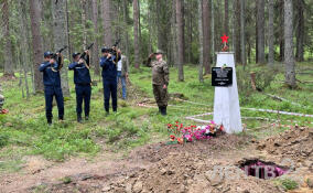 Останки двух красноармейцев предали земле в Ленобласти