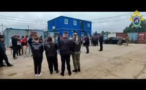 В Гатчинском районе выявили 60 нелегальных мигрантов