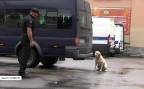 21 июня отмечается День кинологических подразделений Росгвардии