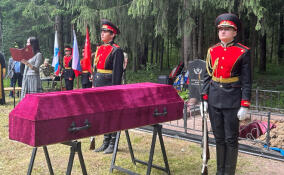 В Тосненском районе перезахоронили останки 14 красноармейцев
