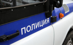 Жителя Ломоносовского района подозревают в убийстве знакомого